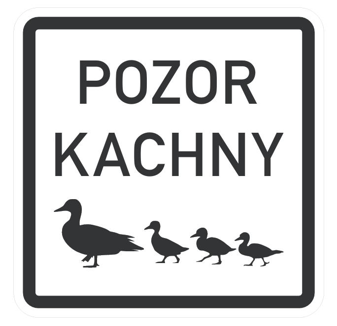 Pozor kachny r. 500 x 500 mm